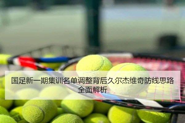 国足新一期集训名单调整背后久尔杰维奇防线思路全面解析