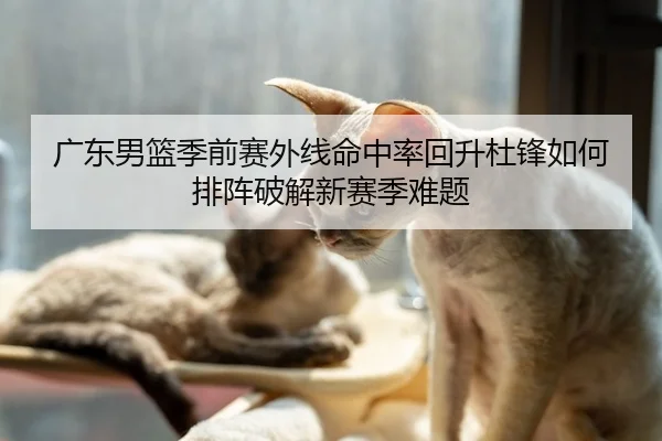广东男篮季前赛外线命中率回升杜锋如何排阵破解新赛季难题